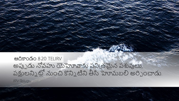 ఆదికాండం 8:20 TELIRV Bible Verse Image