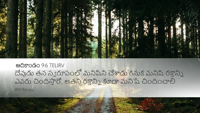 ఆదికాండం 9:6 TELIRV Bible Verse Image