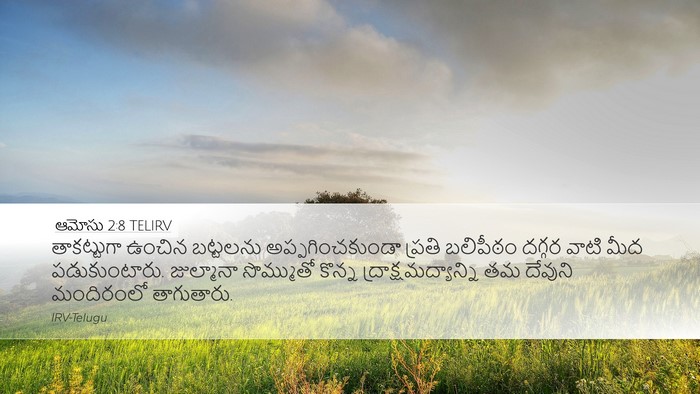ఆమోసు 2:8 TELIRV Bible Verse Image