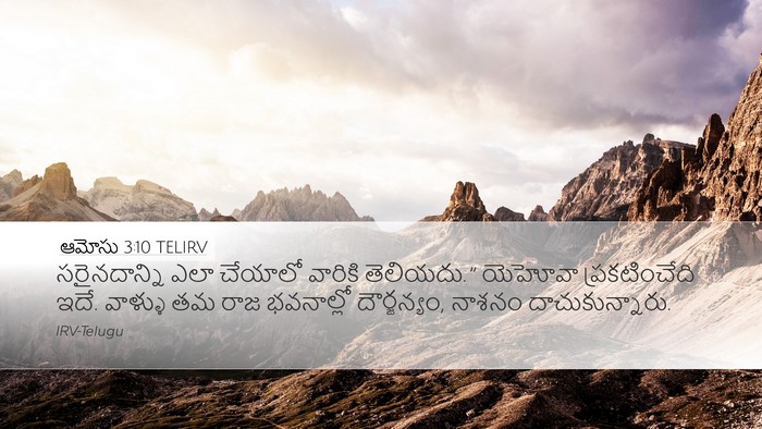 ఆమోసు 3:10 TELIRV Bible Verse Image