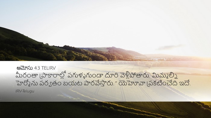 ఆమోసు 4:3 TELIRV Bible Verse Image