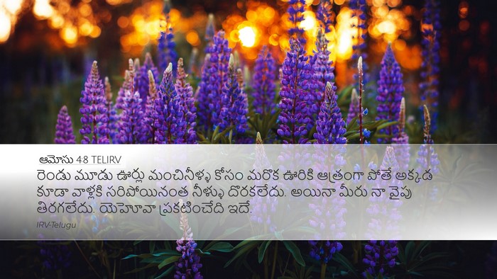 ఆమోసు 4:8 TELIRV Bible Verse Image