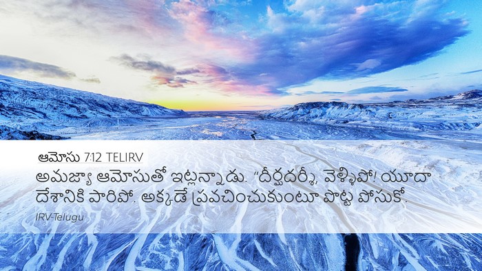 ఆమోసు 7:12 TELIRV Bible Verse Image