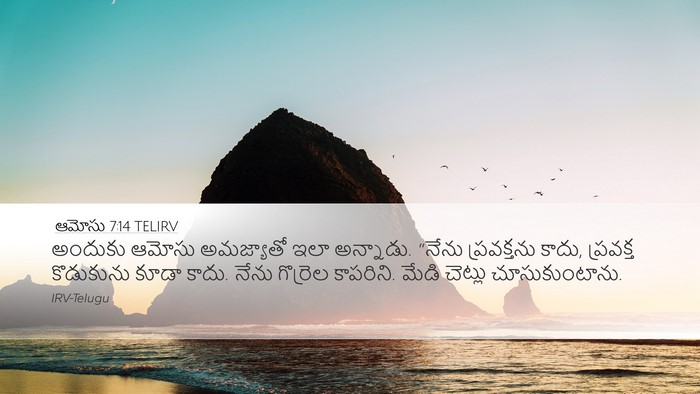 ఆమోసు 7:14 TELIRV Bible Verse Image