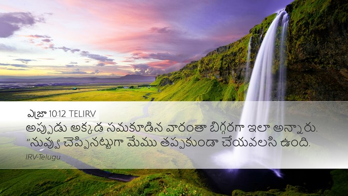 ఎజ్రా 10:12 TELIRV Bible Verse Image