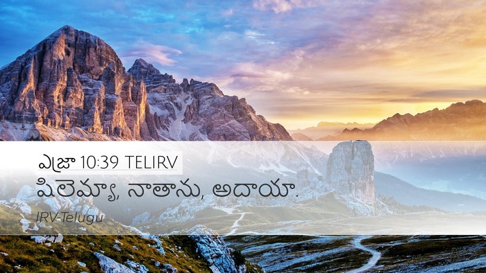 ఎజ్రా 10:39 TELIRV Bible Verse Image