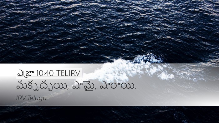 ఎజ్రా 10:40 TELIRV Desktop Wallpaper - మక్నద్బయి, షామై, - Desktop Bible Verse Wallpaper
