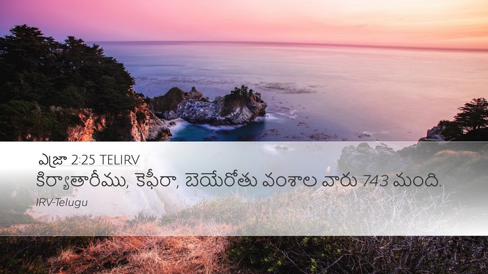 ఎజ్రా 2:25 TELIRV Bible Verse Image