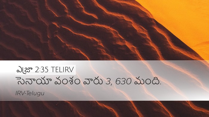 ఎజ్రా 2:35 TELIRV Bible Verse Image