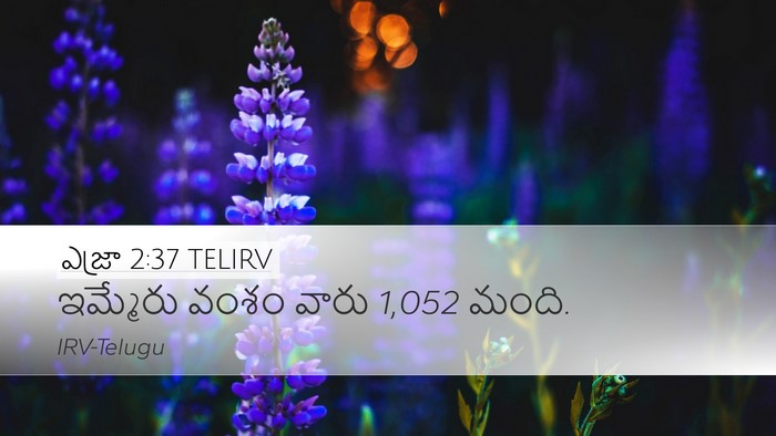 ఎజ్రా 2:37 TELIRV Bible Verse Image