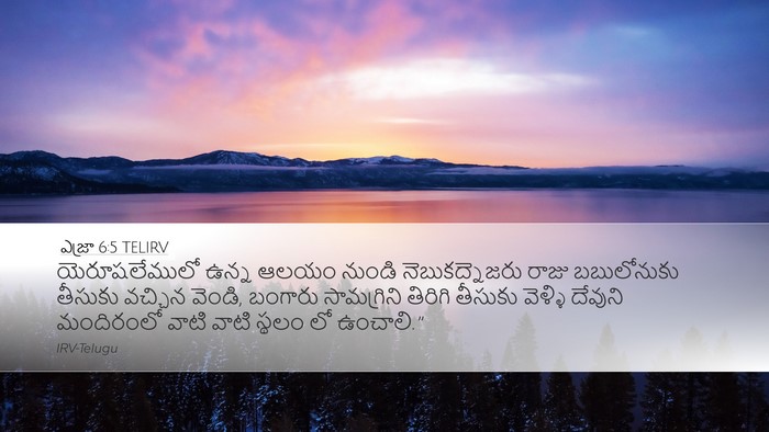 ఎజ్రా 6:5 TELIRV Bible Verse Image