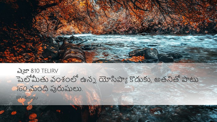 ఎజ్రా 8:10 TELIRV Desktop Wallpaper - షెలోమీతు వంశంలో - Desktop Bible Verse Wallpaper