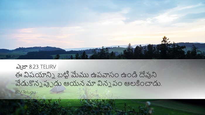 ఎజ్రా 8:23 TELIRV Bible Verse Image