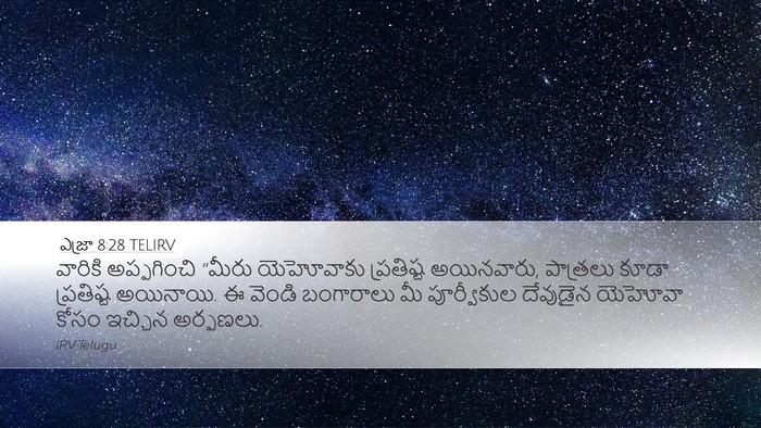 ఎజ్రా 8:28 TELIRV Bible Verse Image