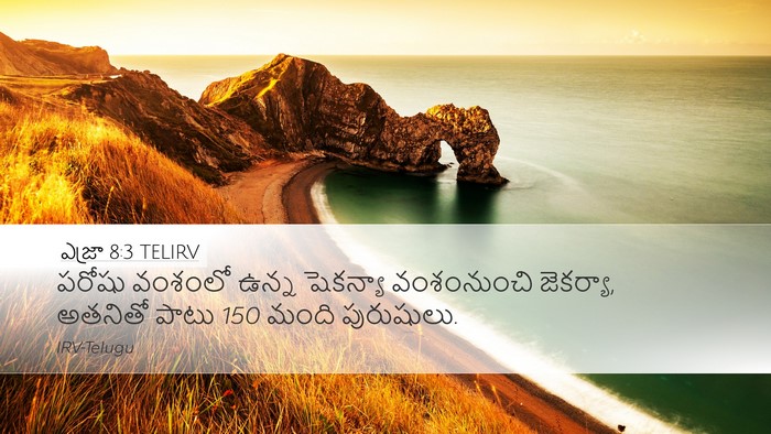 ఎజ్రా 8:3 TELIRV Bible Verse Image