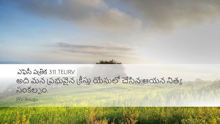 ఎఫెసీ పత్రిక 3:11 TELIRV Bible Verse Image