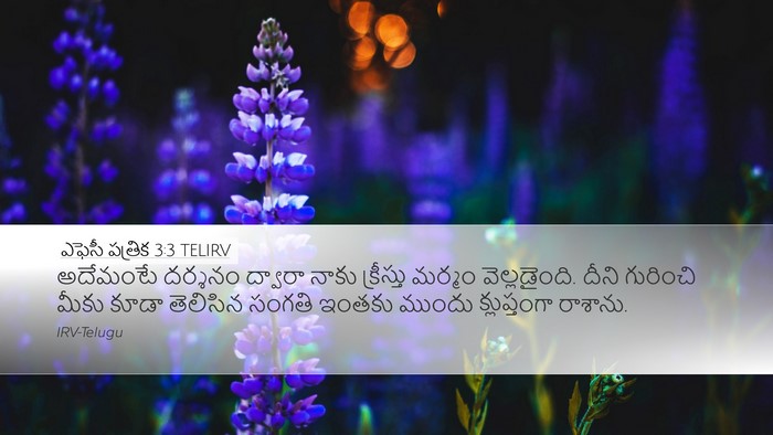 ఎఫెసీ పత్రిక 3:3 TELIRV Bible Verse Image