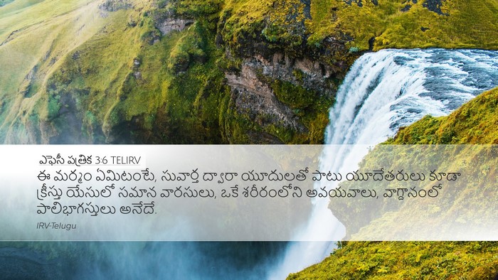 ఎఫెసీ పత్రిక 3:6 TELIRV Bible Verse Image