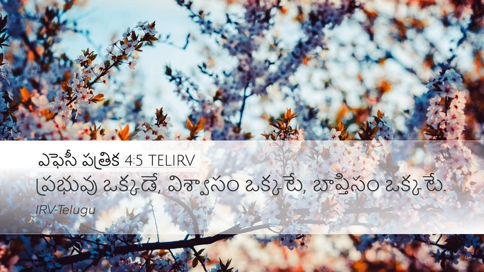 ఎఫెసీ పత్రిక 4:5 TELIRV Desktop Wallpaper - ప్రభువు ఒక్కడే, - Desktop Bible Verse Wallpaper