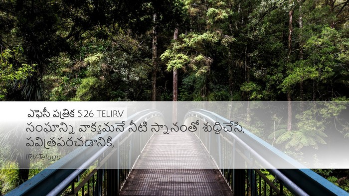 ఎఫెసీ పత్రిక 5:26 TELIRV Bible Verse Image