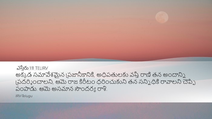 ఎస్తేరు 1:11 TELIRV Bible Verse Image