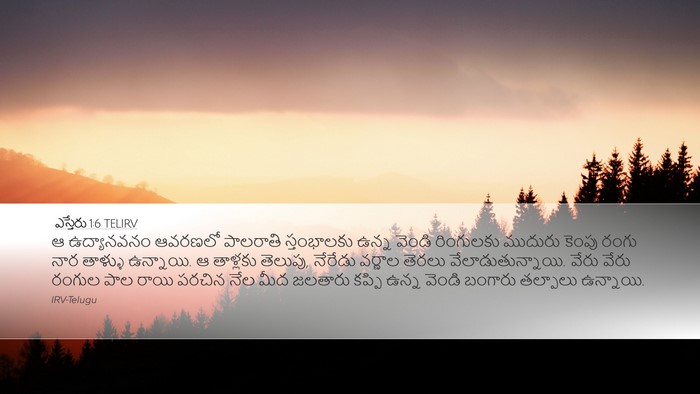 ఎస్తేరు 1:6 TELIRV Bible Verse Image