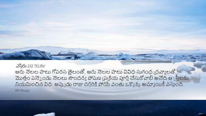 ఎస్తేరు 2:12 TELIRV Bible Verse Image