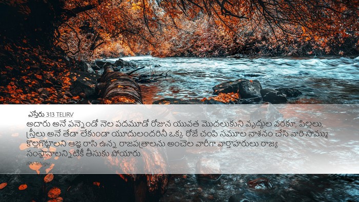ఎస్తేరు 3:13 TELIRV Bible Verse Image