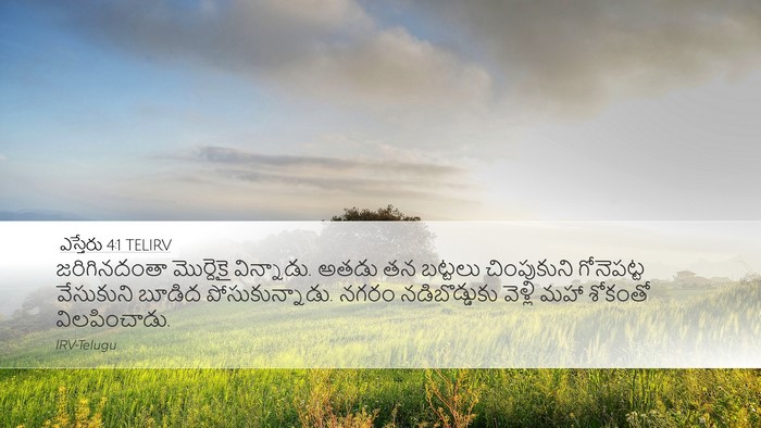 ఎస్తేరు 4:1 TELIRV Bible Verse Image