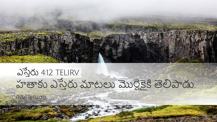 ఎస్తేరు 4:12 TELIRV Desktop Wallpaper - హతాకు ఎస్తేరు - Desktop Bible Verse Wallpaper
