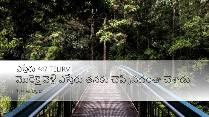 ఎస్తేరు 4:17 TELIRV Desktop Wallpaper - మొర్దెకై వెళ్లి - Desktop Bible Verse Wallpaper