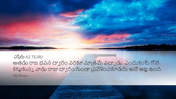 ఎస్తేరు 4:2 TELIRV Bible Verse Image