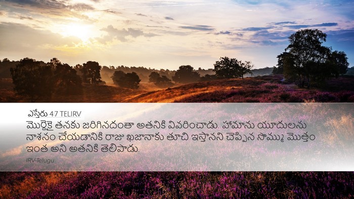 ఎస్తేరు 4:7 TELIRV Bible Verse Image