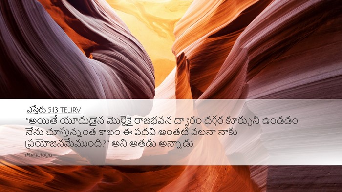 ఎస్తేరు 5:13 TELIRV Bible Verse Image