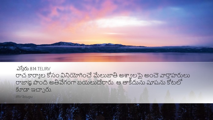 ఎస్తేరు 8:14 TELIRV Bible Verse Image