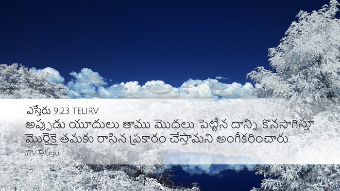 ఎస్తేరు 9:23 TELIRV Desktop Wallpaper - అప్పుడు యూదులు - Desktop Bible Verse Wallpaper