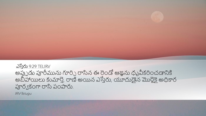 ఎస్తేరు 9:29 TELIRV Bible Verse Image