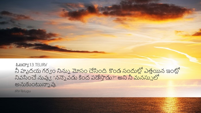 ఓబద్యా 1:3 TELIRV Bible Verse Image