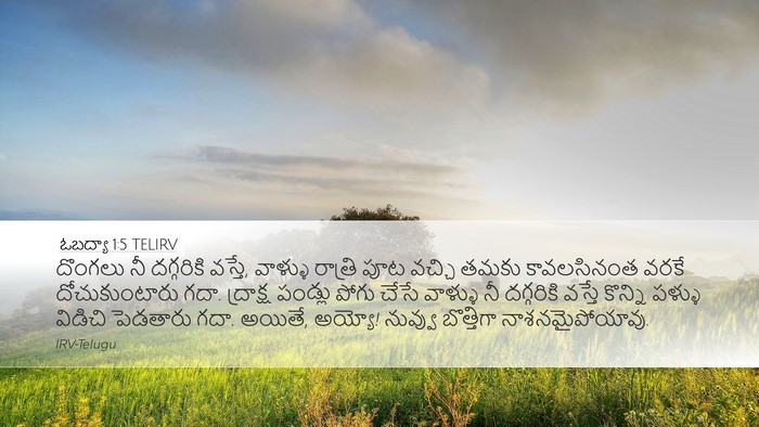 ఓబద్యా 1:5 TELIRV Bible Verse Image