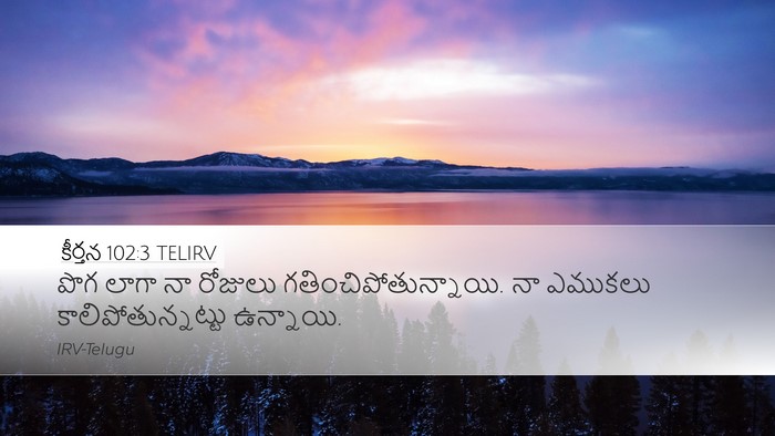 కీర్తన 102:3 TELIRV Bible Verse Image