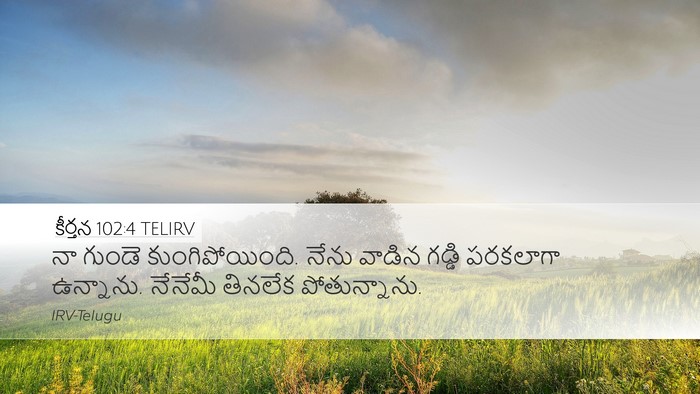 కీర్తన 102:4 TELIRV Bible Verse Image