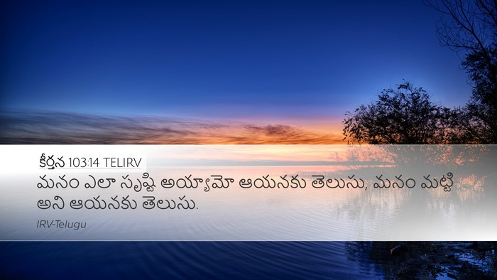 కీర్తన 103:14 TELIRV Bible Verse Image