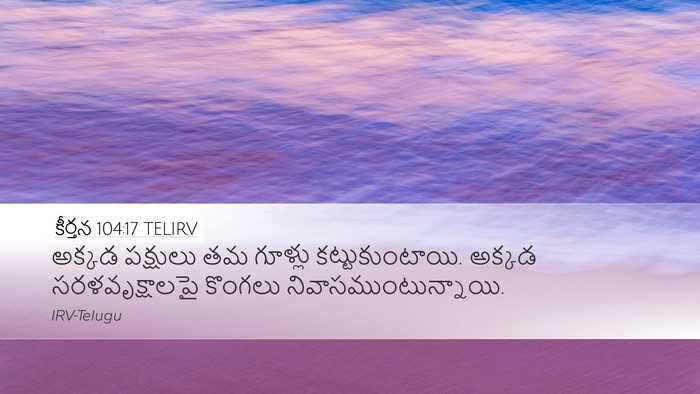 కీర్తన 104:17 TELIRV Desktop Wallpaper - అక్కడ పక్షులు తమ - Desktop Bible Verse Wallpaper