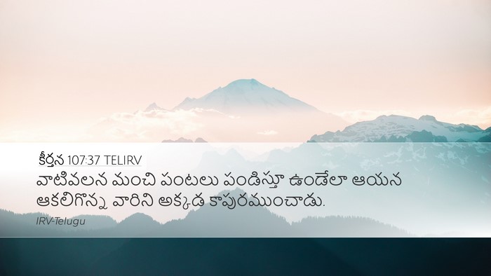 కీర్తన 107:37 TELIRV Bible Verse Image