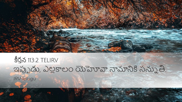 కీర్తన 113:2 TELIRV Desktop Wallpaper - ఇప్పుడు, ఎల్లకాలం - Desktop Bible Verse Wallpaper