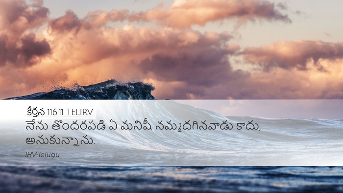 కీర్తన 116:11 TELIRV Bible Verse Image