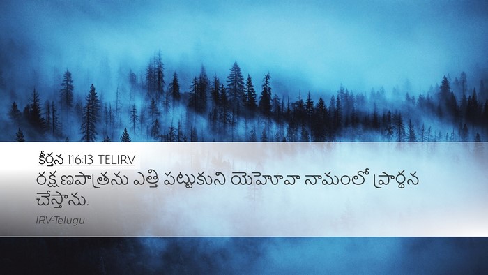 కీర్తన 116:13 TELIRV Bible Verse Image