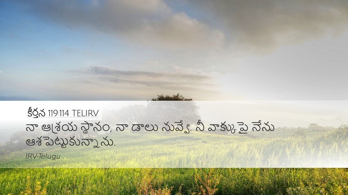 కీర్తన 119:114 TELIRV Bible Verse Image