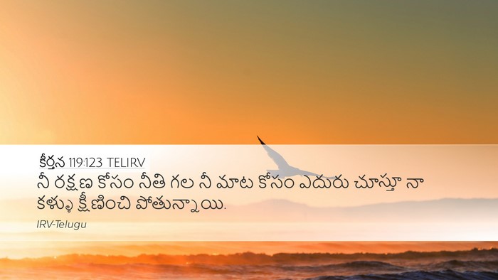 కీర్తన 119:123 TELIRV Bible Verse Image
