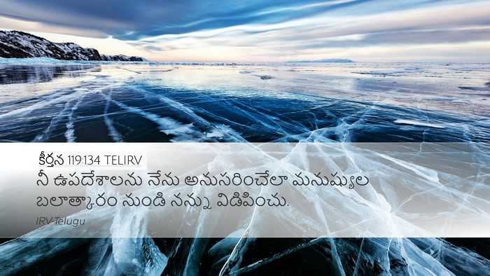 కీర్తన 119:134 TELIRV Bible Verse Image